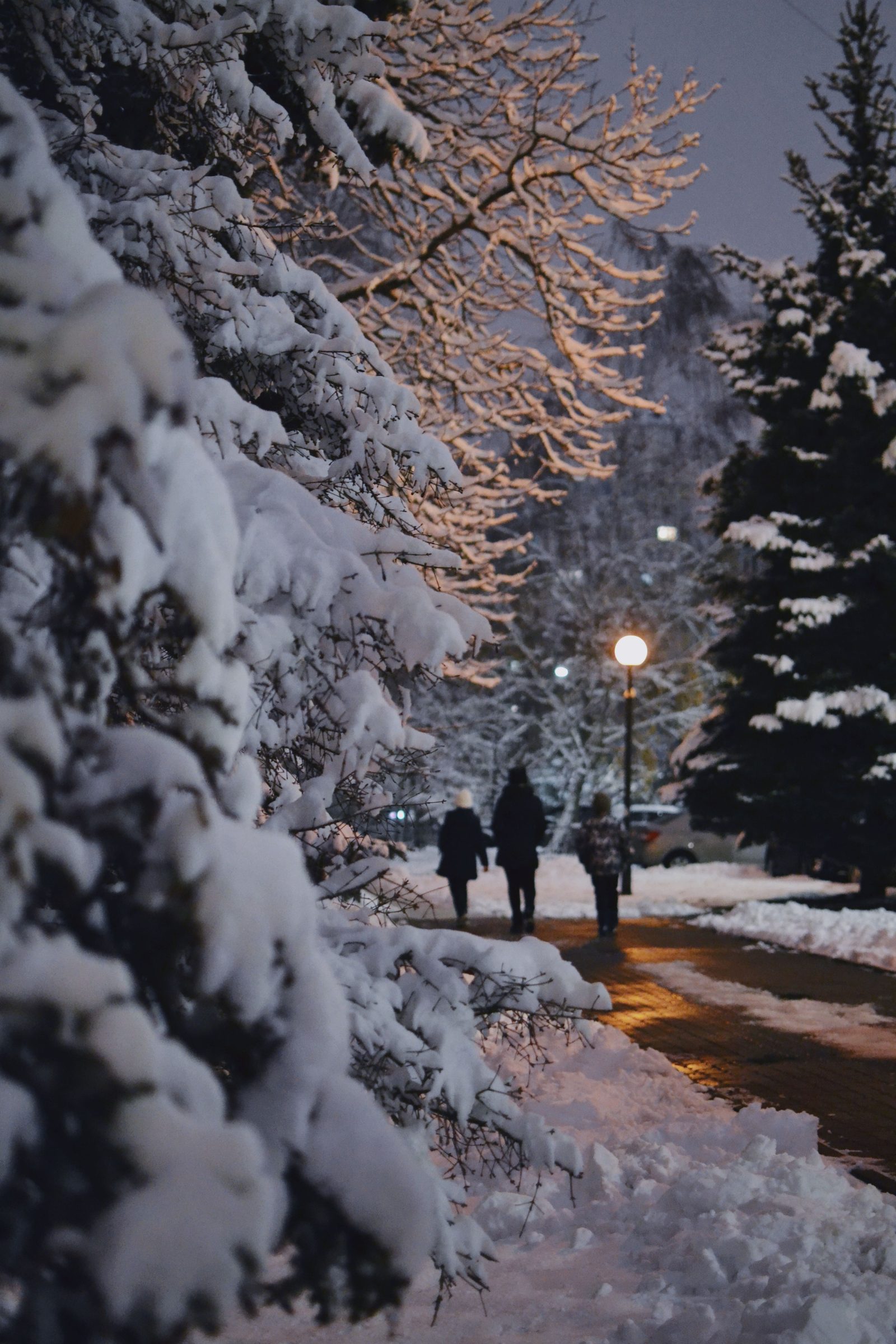Snow-covered spruce and a lit lamp over a cleared sidewalk in Aspen at dusk, three people walking away from the camera