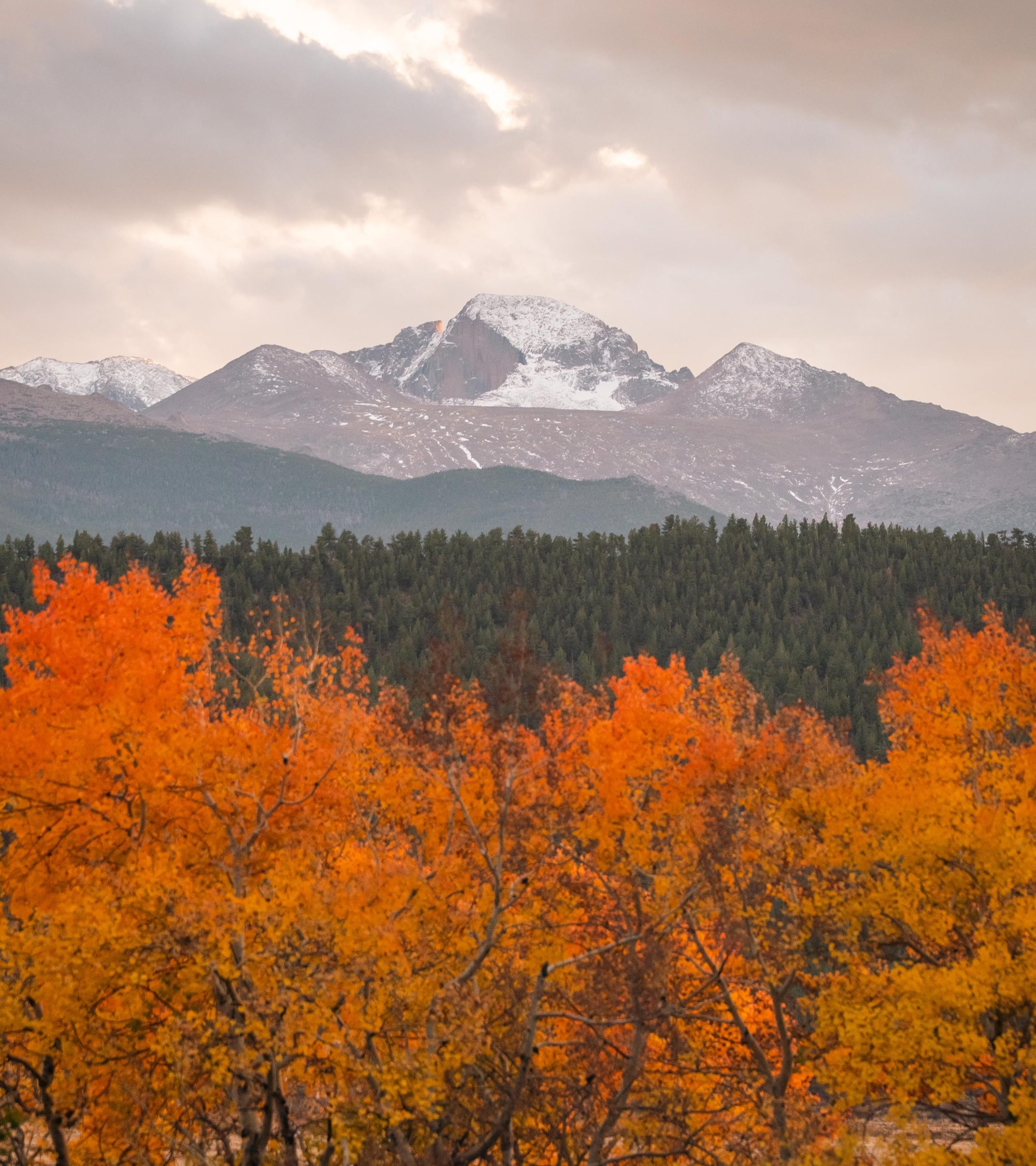 Orange and gold aspens below a snow-dusted Colorado peak at sunrise